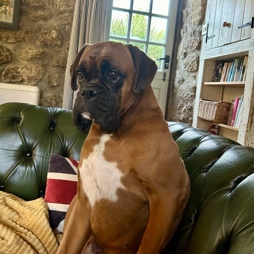 Post from Split! - With Sam Roffey