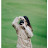 @강바다-q9v