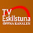 TV Eskilstuna