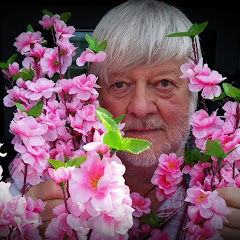 John Halsey 'The Admiral' Official