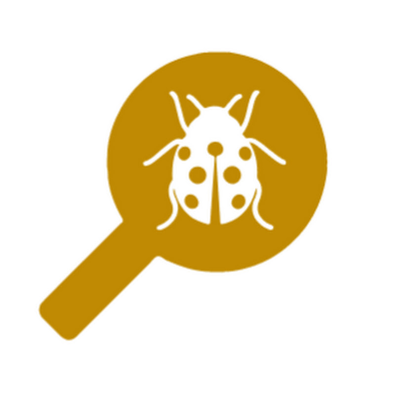 TestingUy