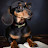 @drewPweinerK9