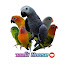 X7lyGgpxqko-channel-avatar-วอลโว่ House