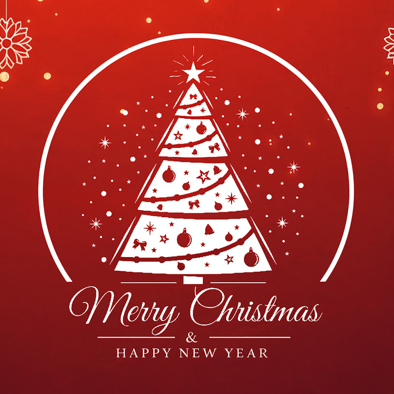 Cozy Christmas Nights