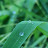 @user-ForestEO