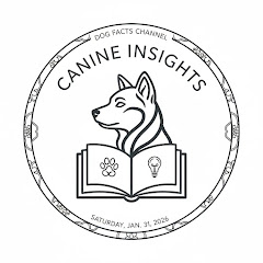 犬の本音　【解説】