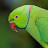 @birdydo7516's avatar