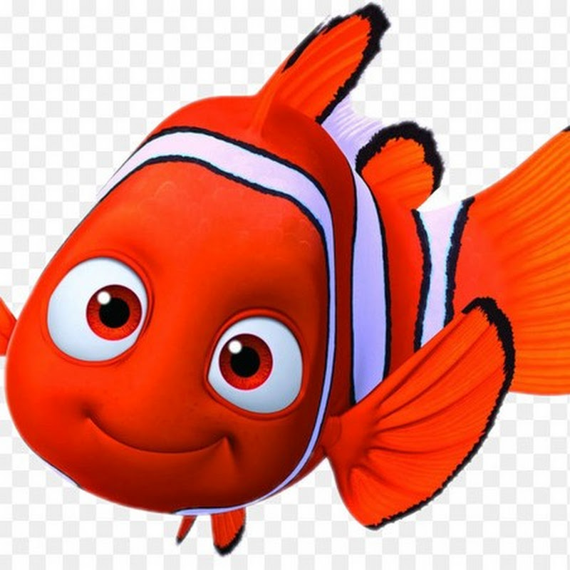 Aatif khan's fish • 340K views • 9 hours ago ..... icon
