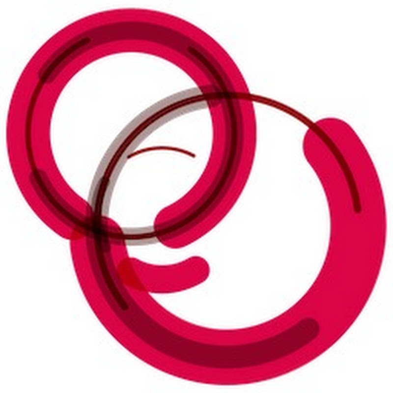 Scrum Institute