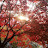 @루비-t9n