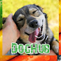 dog hub official logo