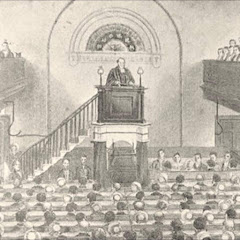 The Baptist Particular