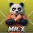MR X