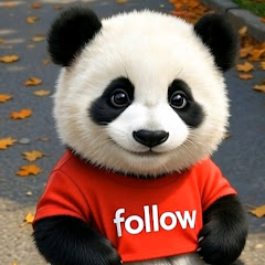Panda Squad