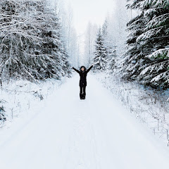 Finlandia Diaries Avatar