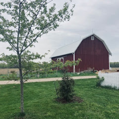 Intentional Homesteading net worth