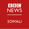 What could BBC Somali buy with $100 thousand?
