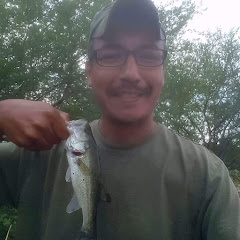 Drew Bass