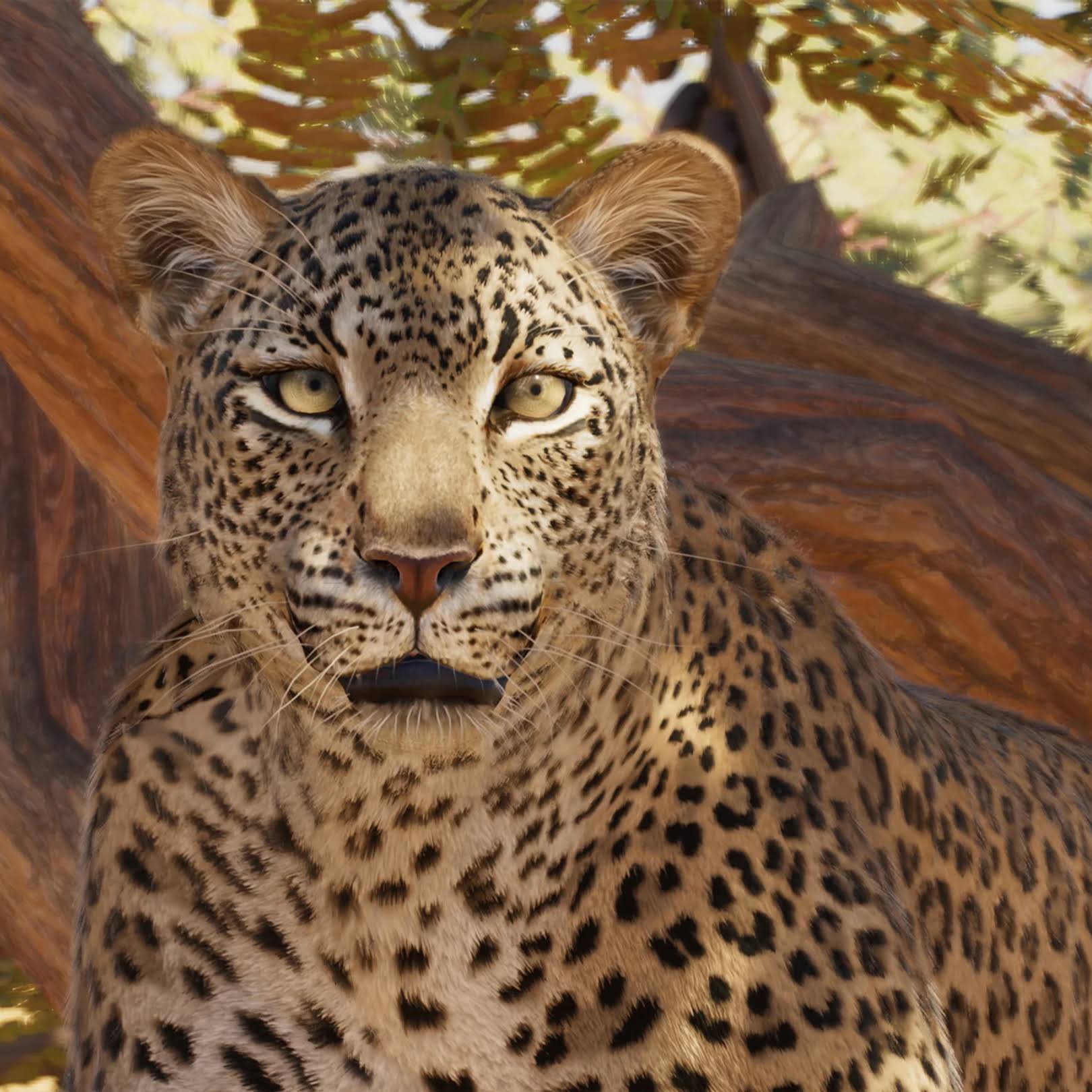 『 Green Leopard fam 』by Zuberi 60*60cm YouTube