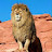 @3-2-1Morocco.number.1