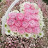 @홍매실-e2h