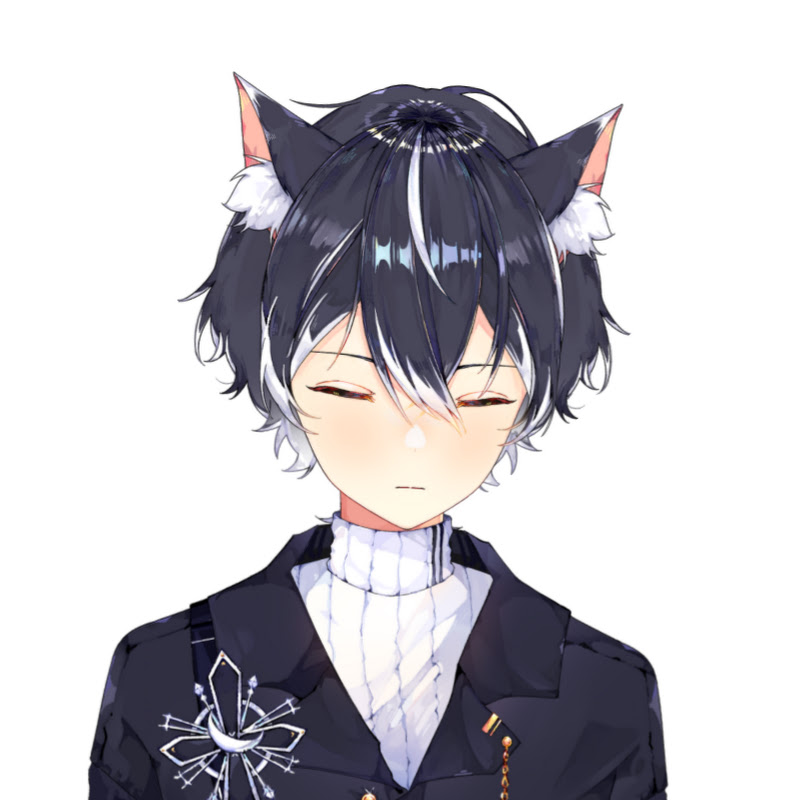 Kuro the Panther