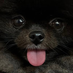 おじさんと６匹の子供達