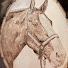 RxafxaXgX-I-channel-avatar-Everything Horses