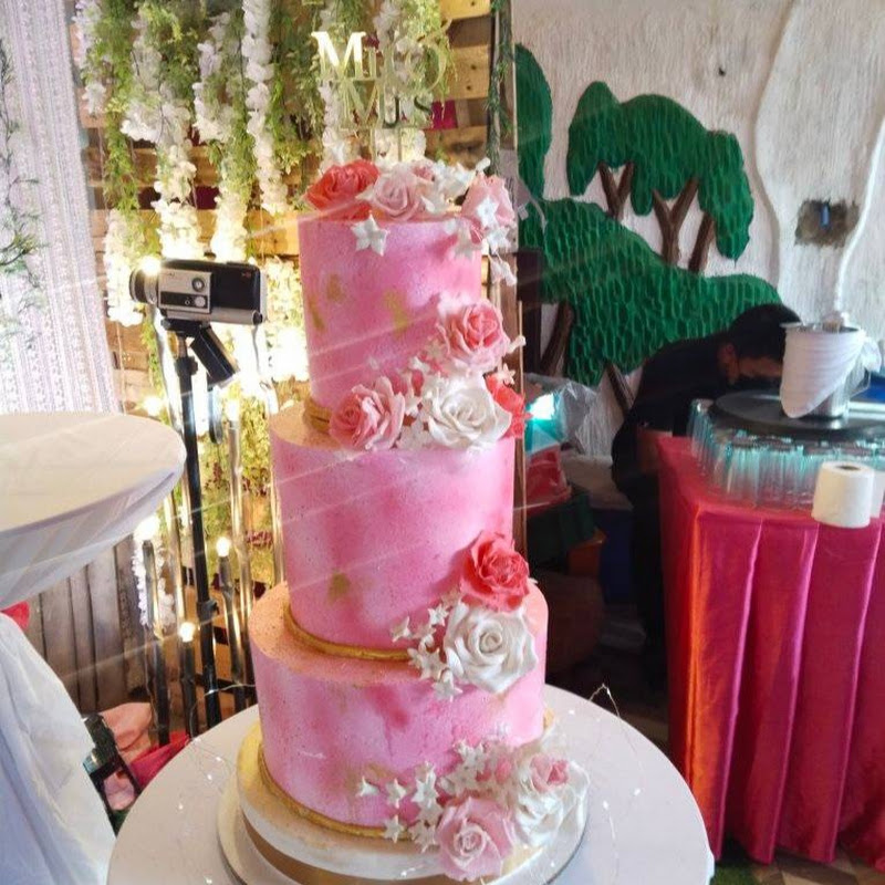 cake decorating & cooking