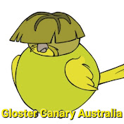 Gloster Canary Australia