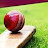 @Cricketandfun2906