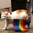 72x7hKB4YzU-channel-avatar-AndroidHeaven