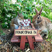 Four Paws TV