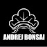 TmQz6J1sYTQ-channel-avatar-Andrej Bonsai
