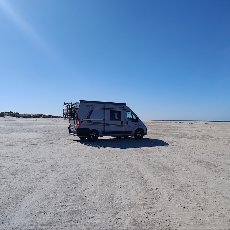 Hans the van