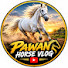 0TiD6rnloaQ-channel-avatar-Pawan horse vlog