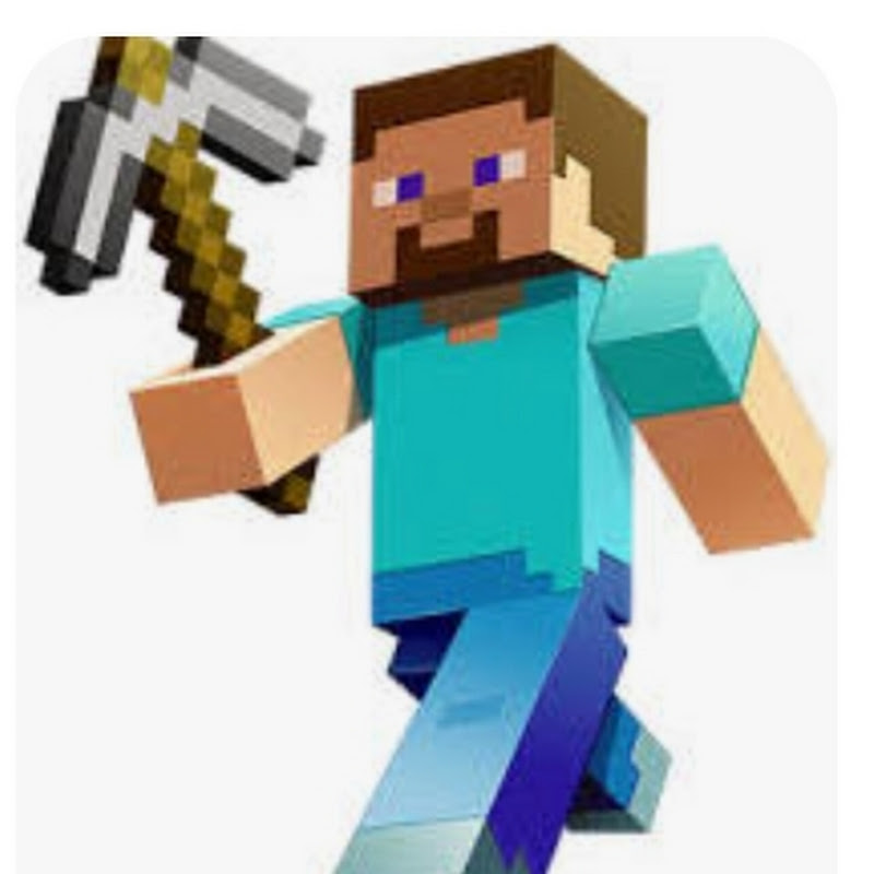 Mr Minecraft gaming M.M