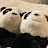 @Pandalife-k1u Avatar