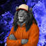 0xS43OLegsU-channel-avatar-SiilverLion