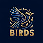 Curious Animal Kingdom: Birds logo