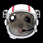 밈터스텔라