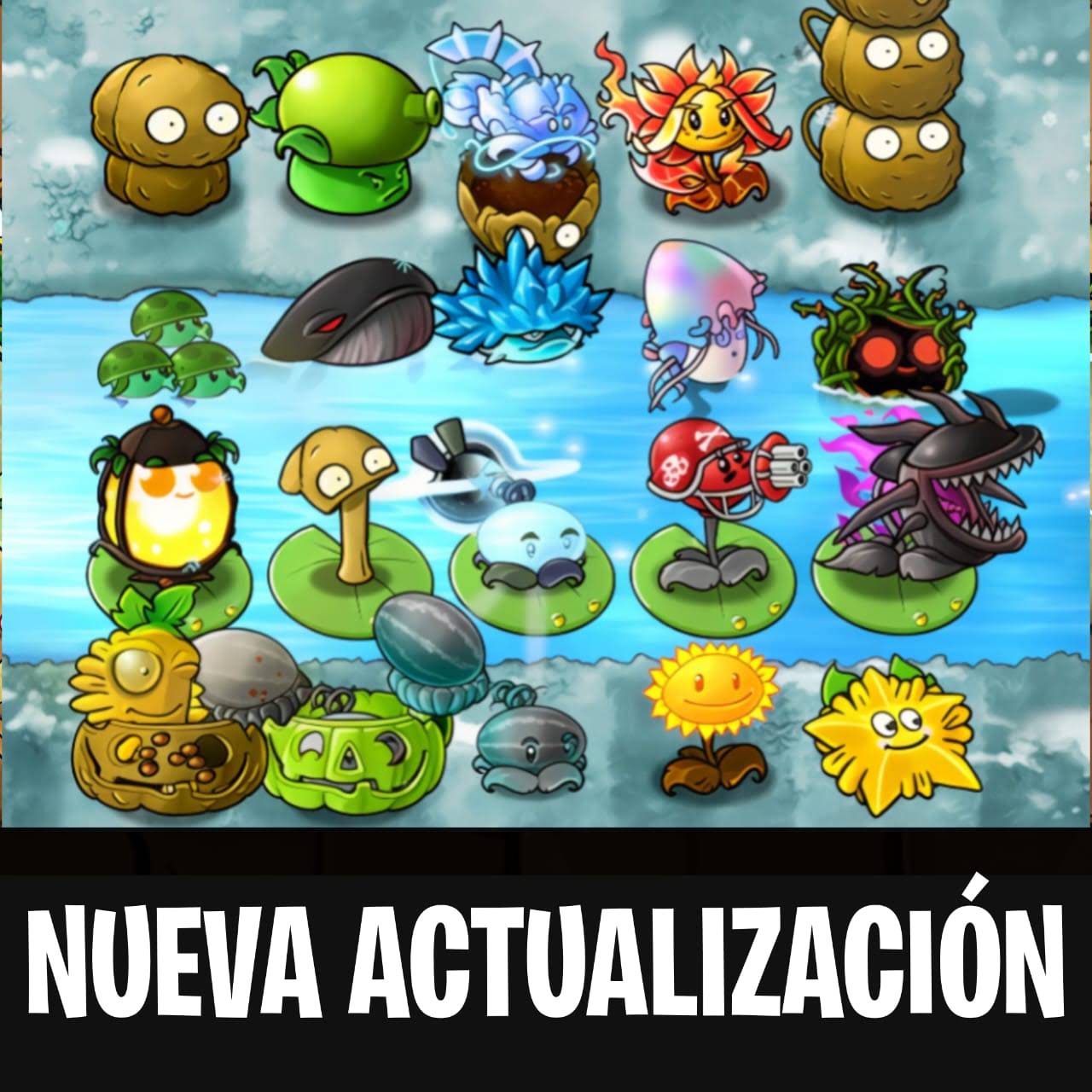 Post from EL RAYCHI