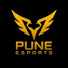 fNok-DTtt5M-channel-avatar-Pune Esports 
