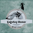 NsZ4x0Vwjec-channel-avatar-Çağatay Dener 
