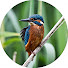 ZoktffZBocE-channel-avatar-Inmenso Mundo Natural