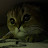 @OmarAbugoush-h5v