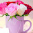 @HanyRmoz