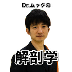 Dr.ムックの解剖学チャンネル