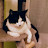 @playfulcat1970