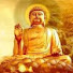 g0JQ-WDk5c8-channel-avatar-The Dharma Journey